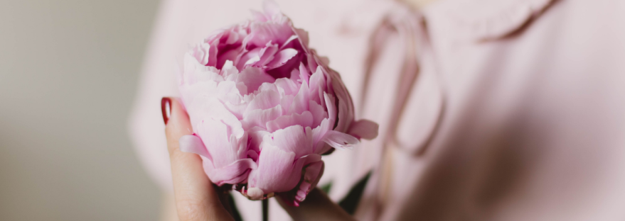 A woman wearing a pink top gently hold a peonie flower in her hands.