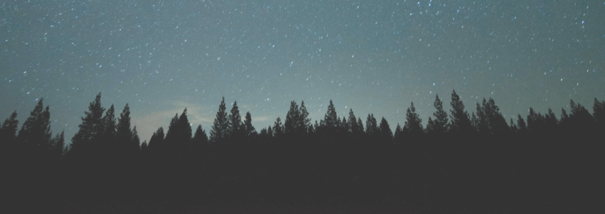A starry sky at midnight visable over some fir trees in shadow. Photo by Wil Stewart via Unsplash