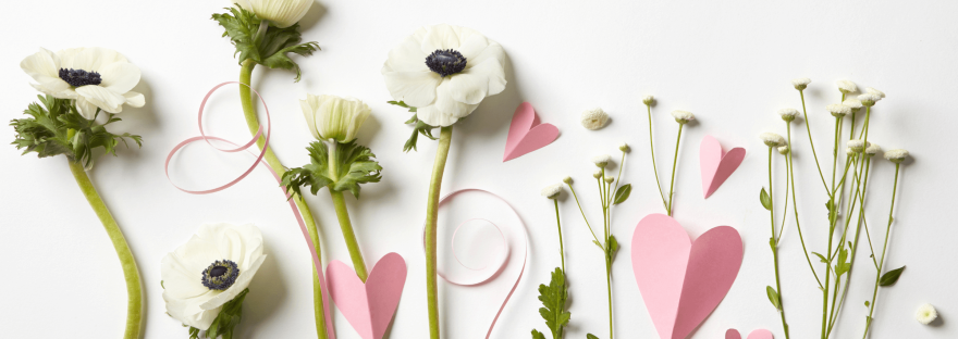 A selection of white flowers and pink paper hearts arranged on a white background; photo via artJazz/Canva.