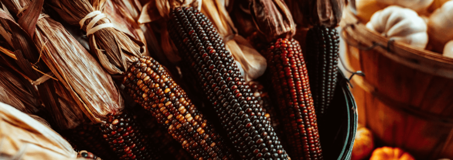 A collection of red and black cobs of corn in a wooden basket; photo via Meritt Thomas/Unsplash.
