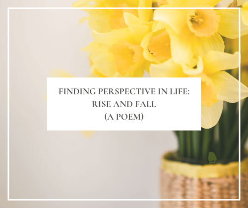 Click here to read, “Finding Perspective in Life: Rise and Fall (A Poem)”; a post exploring how spring teaches us about renewal, growth, and embracing change in our lives.
